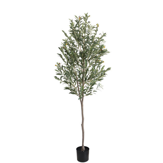 Artificial Olive Tree and pot 2m.