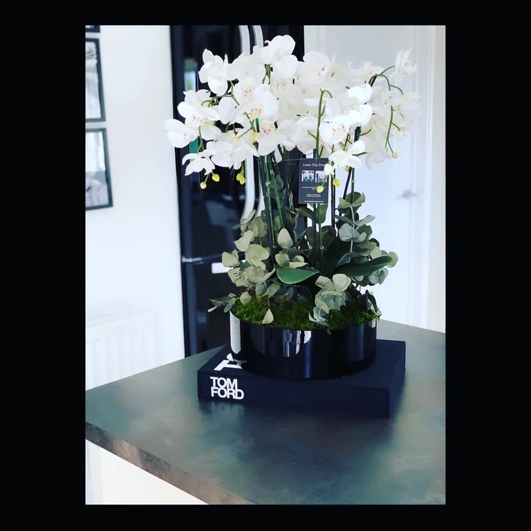 Multi stem orchid