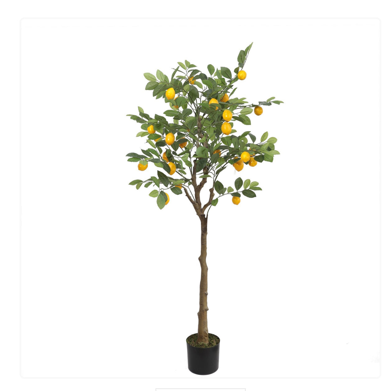 Artificial Lemon Tree  Large (150cm)