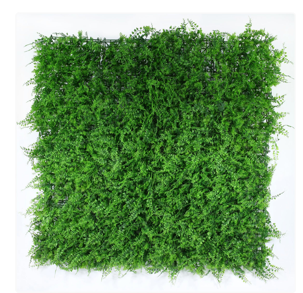 Exterior UV Resistant Fern Green Wall (1m)