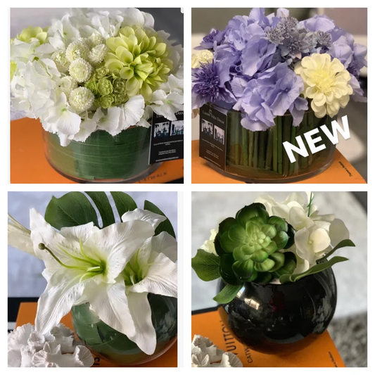 The Lucia (4 styles)
